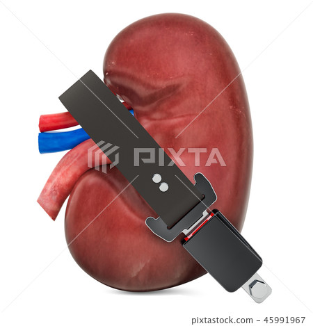 Human kidney with safety belt, protect concept Human kidney with safety belt, protect concept 45991967