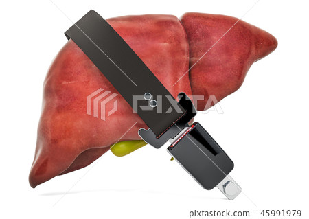 Human liver with safety belt, protect concept Human liver with safety belt, protect concept 45991979