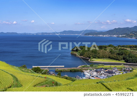[Nagasaki Prefecture] A scene of the east shelter 45992271