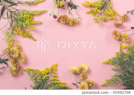 Golden-daisy flowers as border on pastel pink. 45992706