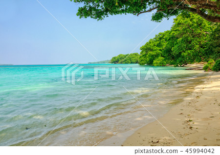 Beach - Espiritu Santo 45994042