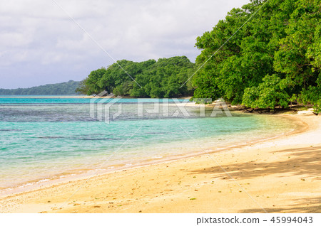 Beach - Espiritu Santo 45994043