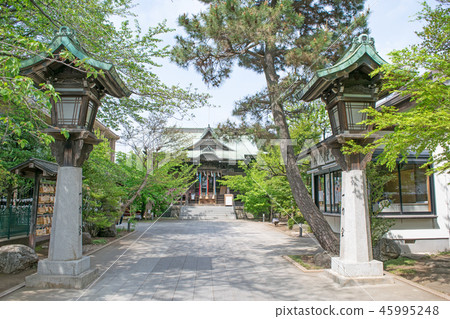 東京都世田谷區櫻花神社禮拜堂 45995248