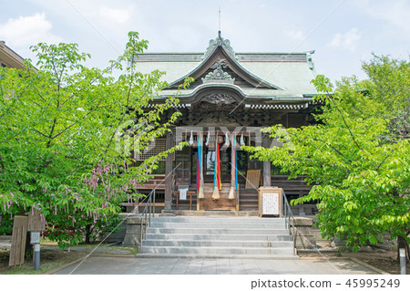東京都世田谷區櫻花神社禮拜堂 東京都世田谷區櫻花神社禮拜堂 45995249