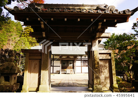 傳寺 45995641