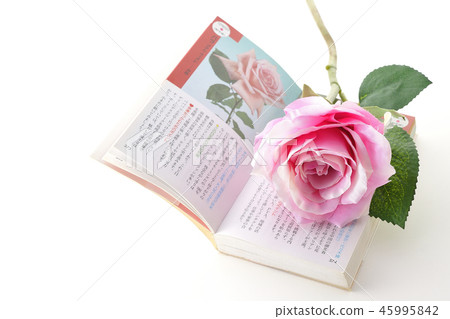 花語 45995842
