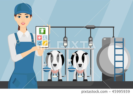 Woman farmer with tablet on a dairy farm.  45995939