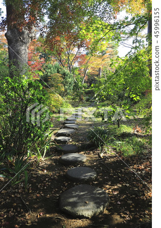 Yakushiji Temple Iko Adachi-ku，東京 45996155
