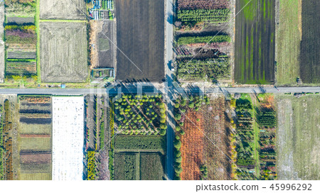 Aerial view Scenery of Minuma rice field taken with a kite 45996292