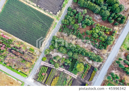 Minuma米領域鳥瞰圖風景採取與風箏 Minuma米領域鳥瞰圖風景採取與風箏 45996342