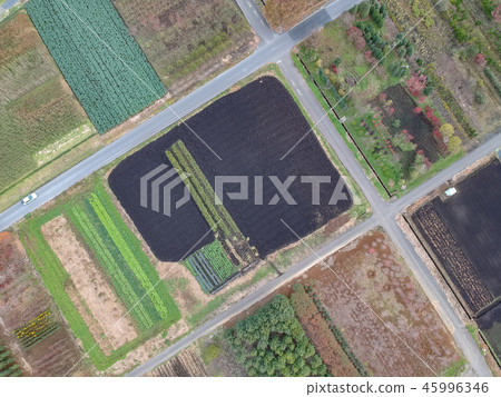 Minuma米領域鳥瞰圖風景採取與風箏 45996346