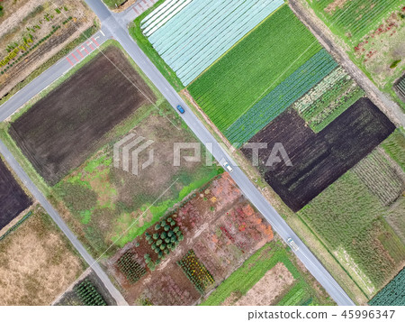 Minuma米領域鳥瞰圖風景採取與風箏 45996347
