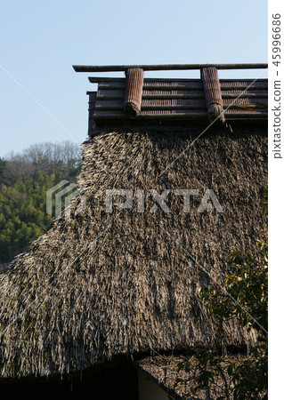 Tottori Four season walk Spring Atelier Elementary School 45996686