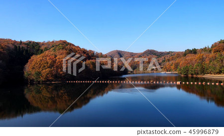 Iida dam of autumn leaves 45996879