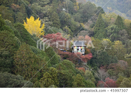 [Kyoto] Autumn leaves of Arashiyama 45997307