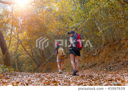 Autumn nature hiker team young women walking 45997639