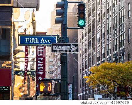 New York Fifth Avenue 45997679