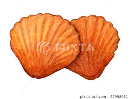 被烘烤的甜點馬德琳手拉的水彩 45998081