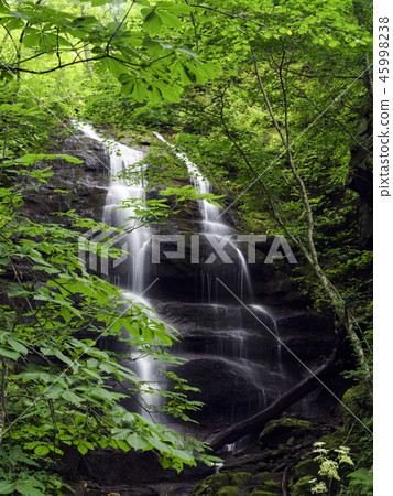 Oirase mountain stream (Aomori Prefecture) Kudan waterfall in summer 45998238