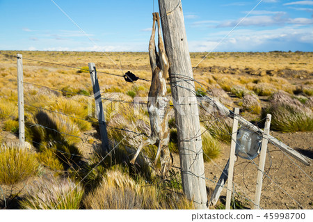View on the Andes foothills View on the Andes foothills 45998700