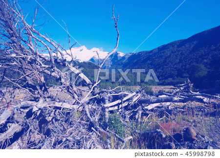 Valley of river Cauquenes and mountain Tronador Valley of river Cauquenes and mountain Tronador 45998798