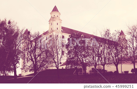 View of Bratislava Castle landmark of the Slovakia View of Bratislava Castle landmark of the Slovakia 45999251