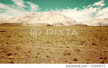 Andes near Las Lenas 45999252