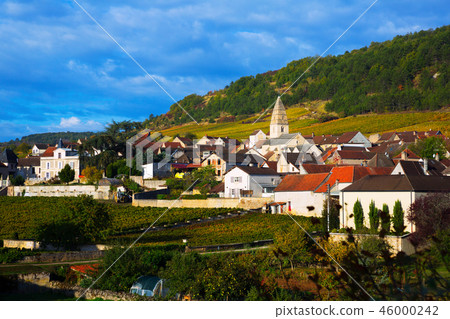 Houses and nature of ancient city Saint-Aubin, Burgundy with vineyards 46000242