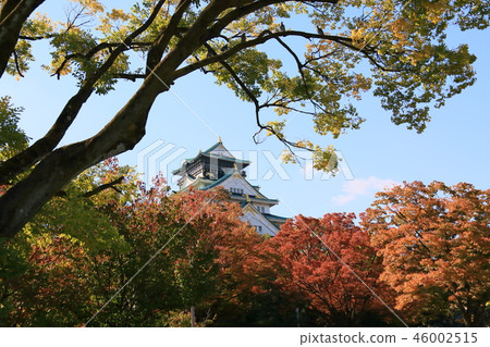Osaka Castle in Autumn Osaka Castle in Autumn 46002515