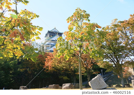 Osaka Castle in Autumn Osaka Castle in Autumn 46002516