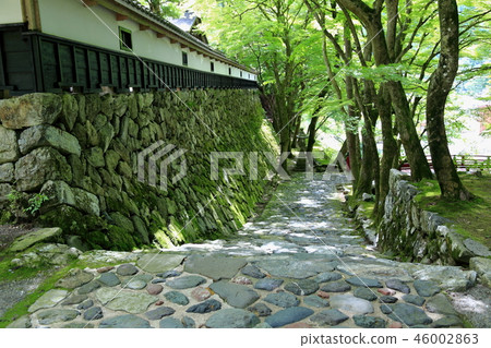 Ryokaizan Yokozoji. 88 (Yokosu, Kamogawa-cho, Gamo-gun, Gifu Prefecture) 46002863