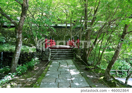 Ryokaizan Yokozoji。90(岐阜縣加茂郡橫河川,橫河川) Ryokaizan Yokozoji。90(岐阜縣加茂郡橫河川,橫河川) 46002864