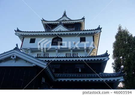 岩國城（天閣：晚上） 46003594