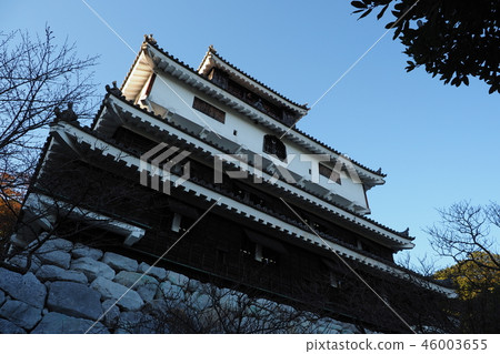 岩國城（天閣：晚上） 46003655