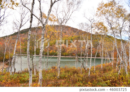 Konoike湖岸 Konoike湖岸 46003725