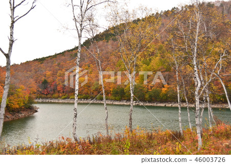 Konoike湖岸 46003726