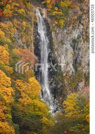 熊瀑布 熊瀑布 46003728