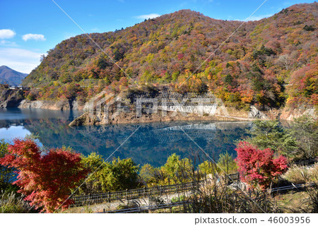 Gunma Prefecture Agatsuma-gun Nakanojo-cho Okushiman Lake and autumn leaves 46003956