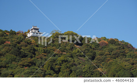 Iwakuni Castle (photographed from Sakai) Iwakuni Castle (photographed from Sakai) 46004410