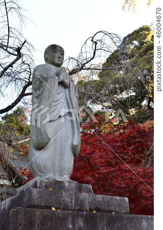 Matsuto Hontoji Nichiren Joetsu Stone Statue Matsuto Hontoji Nichiren Joetsu Stone Statue 46004670