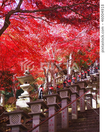 Tanzawa Oyamaji Temple Tanzawa Oyamaji Temple 46004918