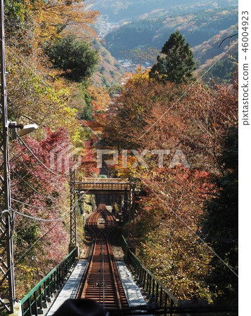 View from the Tanzawa Daisen Cable Car 46004923