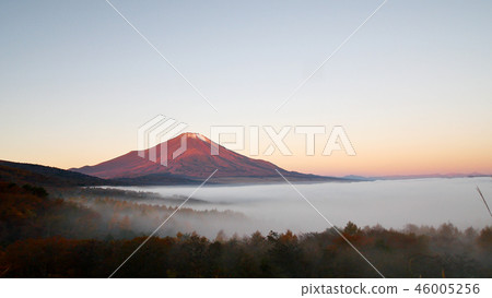 山中湖和紅山富士山 46005256