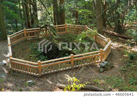 岩國城的大井(大型漁井) 岩國城的大井(大型漁井) 46005641