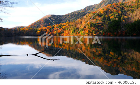 Autumn leaves of Yunoho Autumn leaves of Yunoho 46006153
