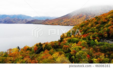 Autumn leaves of Lake Chuzenji Autumn leaves of Lake Chuzenji 46006161