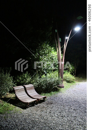 Camellia Island 46006298