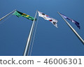 flag 46006301