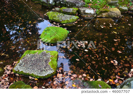 Ishigaki and the autumn leaves Ishigaki and the autumn leaves 46007707