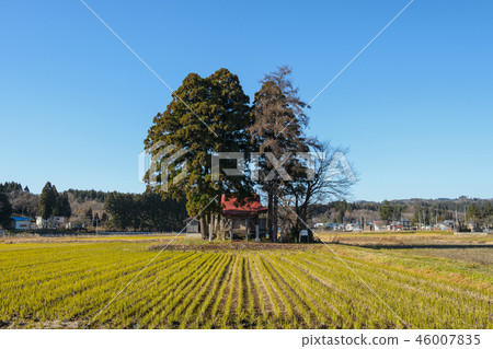 Hakusan Shrine秋田縣橫手市 46007835